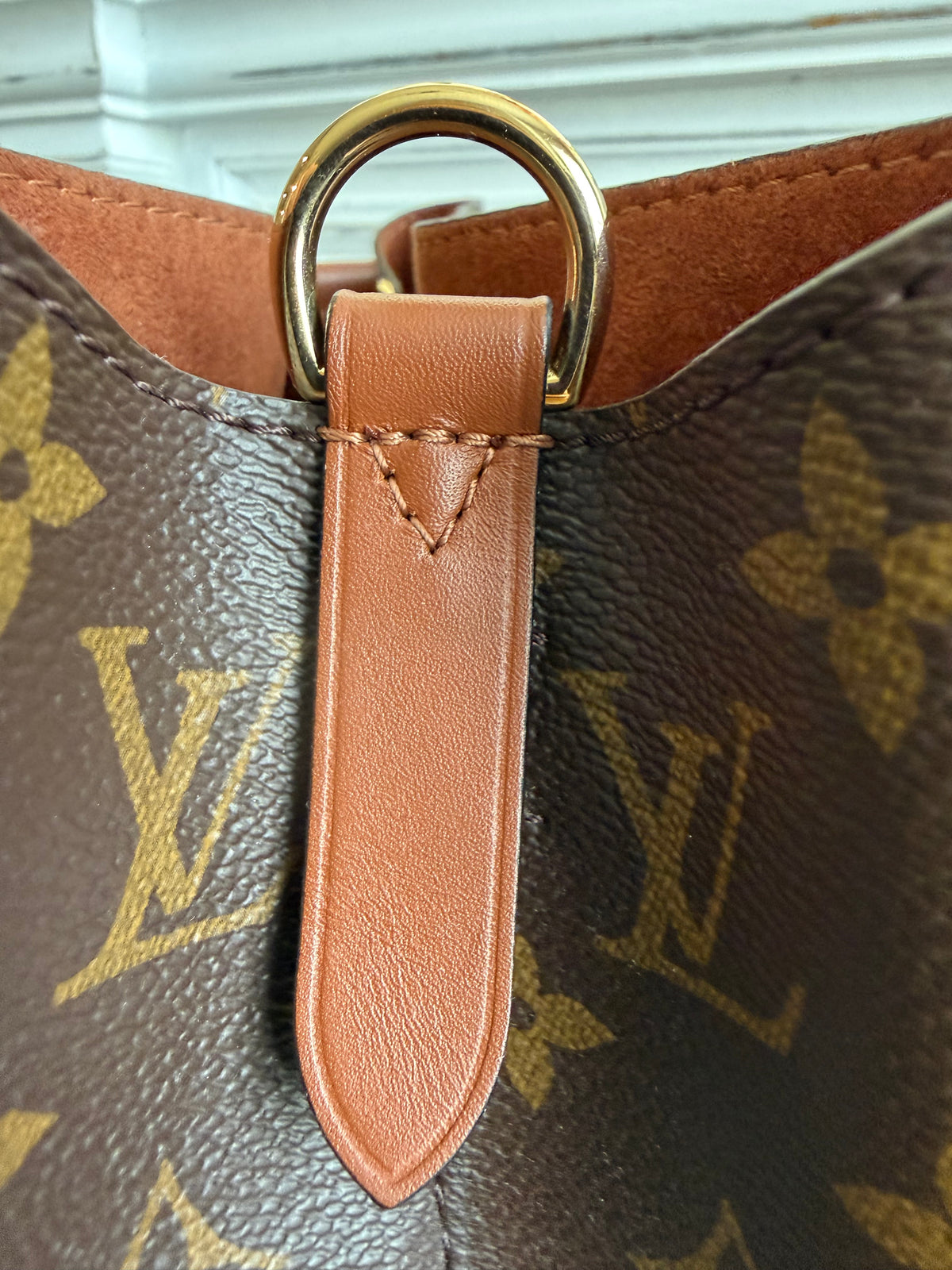 NéoNoé MM in Monogram and Cognac
