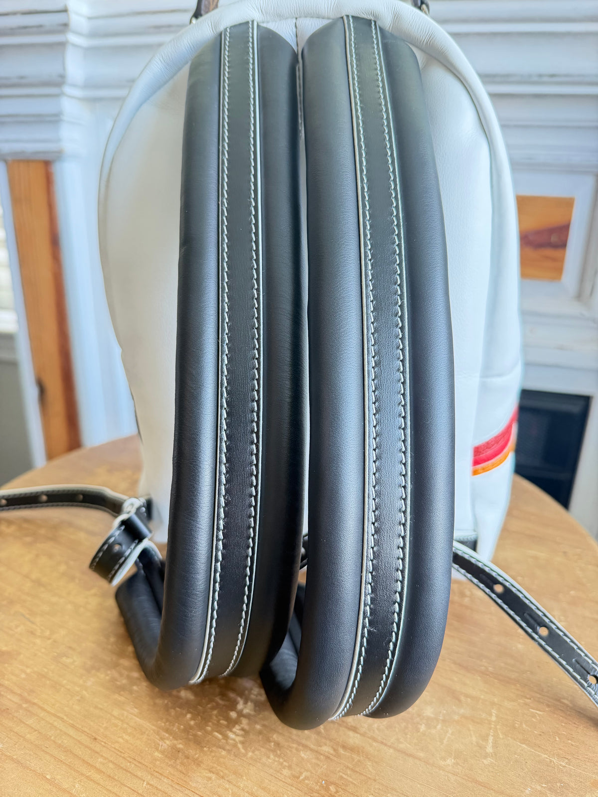 Palm Springs Airline Backpack PM