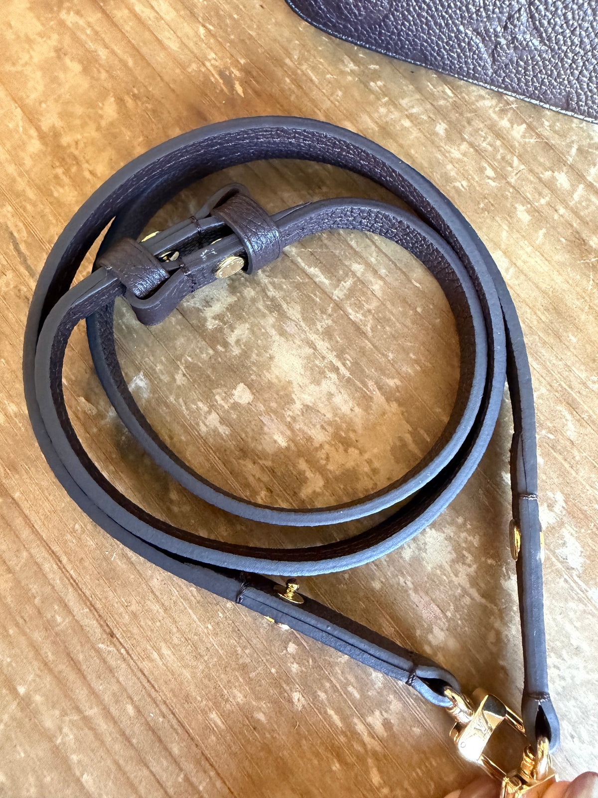 Easy Pouch On Strap Empreinte in Brown