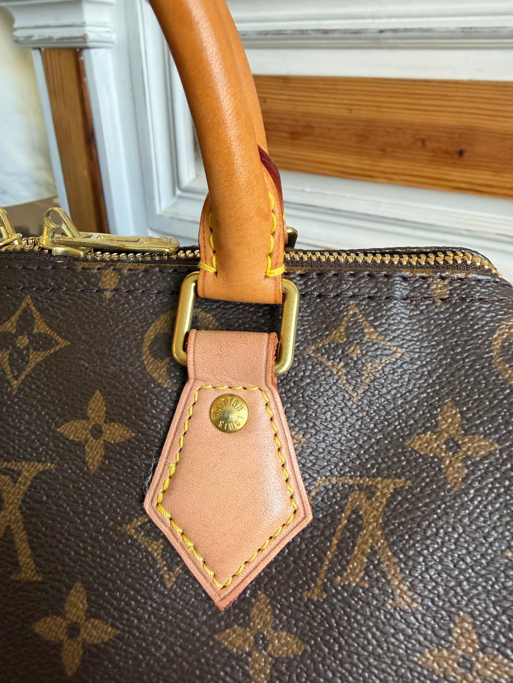 Speedy 25 Bandouliere in Monogram
