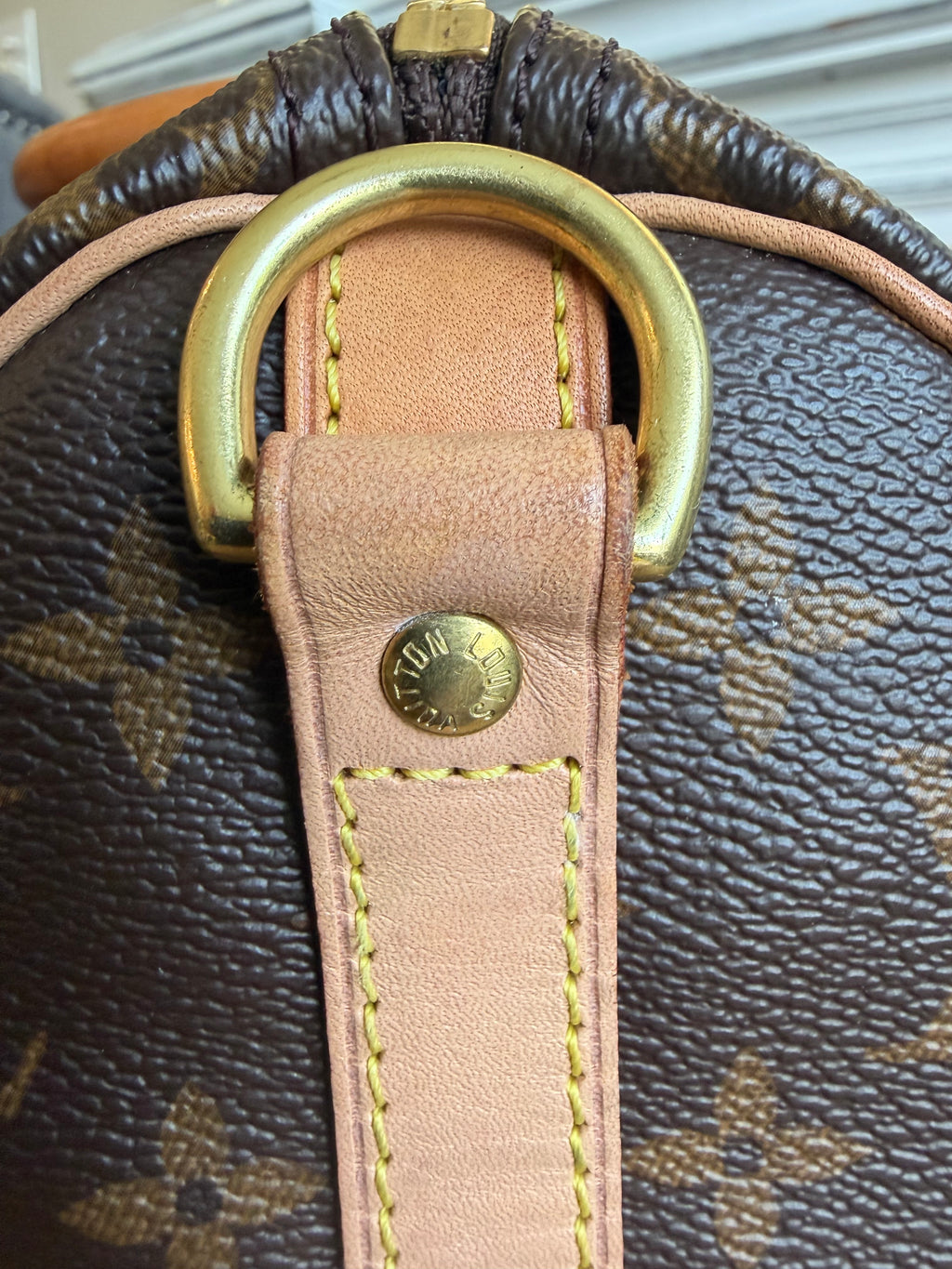 Speedy 25 Bandouliere in Monogram